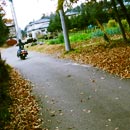 bike06