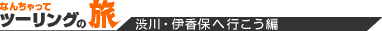 �c�[�����O�̗�